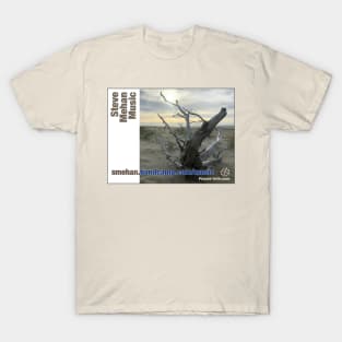 Steve Mehan Music Beach Scene 1 T-Shirt